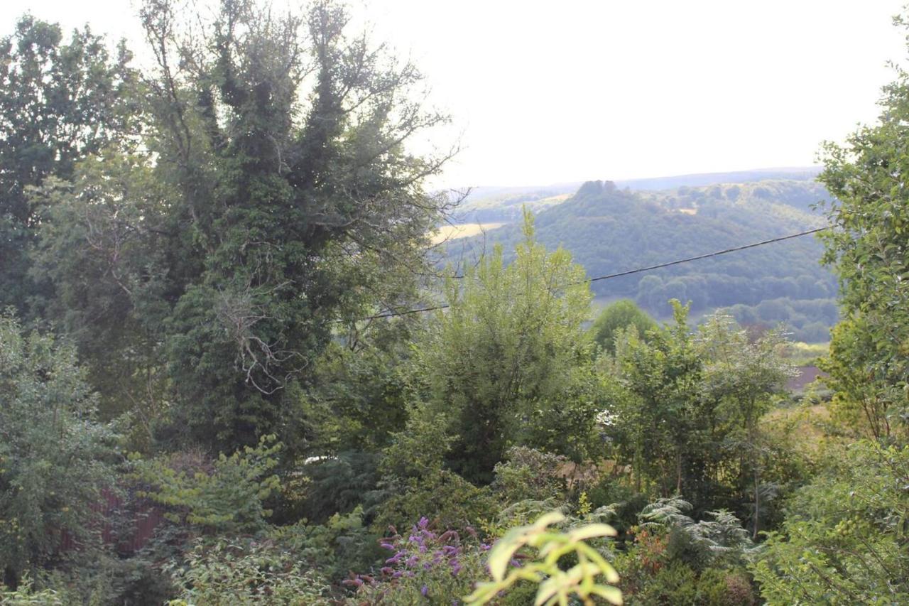 Relaxing Pet Friendly 2-Bed Cottage In Rhandirmwyn Llandovery Exteriér fotografie