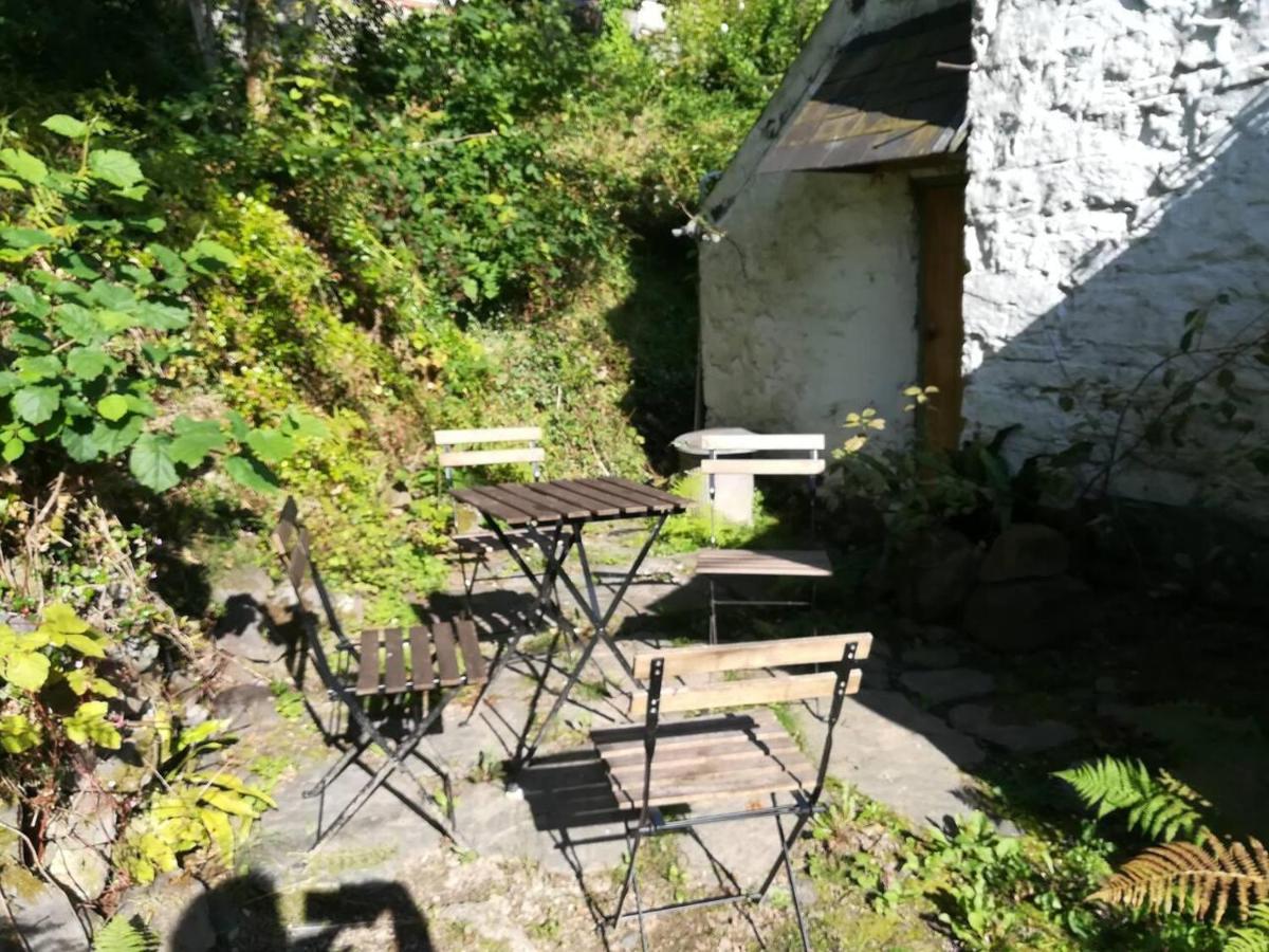 Relaxing Pet Friendly 2-Bed Cottage In Rhandirmwyn Llandovery Exteriér fotografie