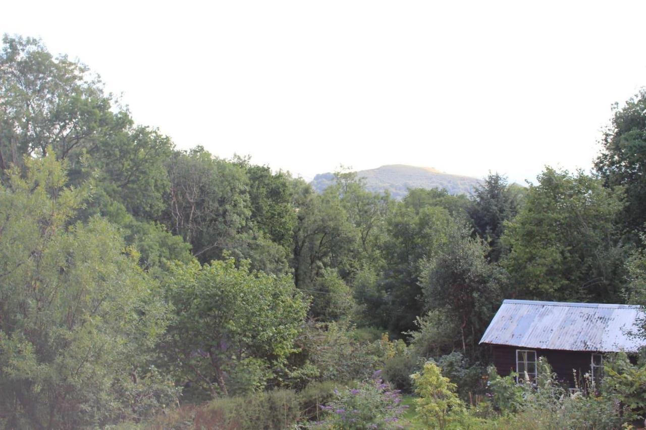 Relaxing Pet Friendly 2-Bed Cottage In Rhandirmwyn Llandovery Exteriér fotografie